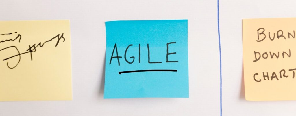 Agile Transformation is What the Boss Wants Or?