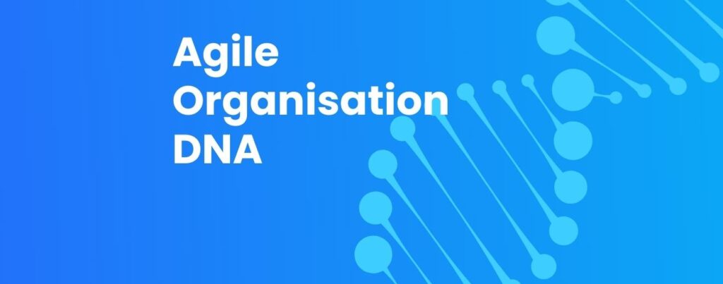 The DNA of a true agile organisation